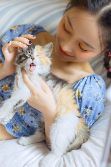 地狱男爵下载
